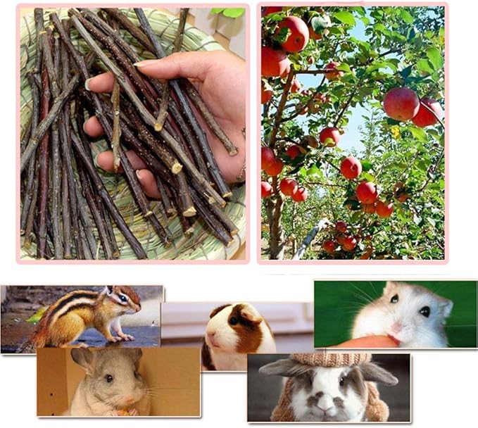 250g Apple Sticks Small Animals Molar Wood Treats Toys for Rabbits Chinchillas Guinea Pig