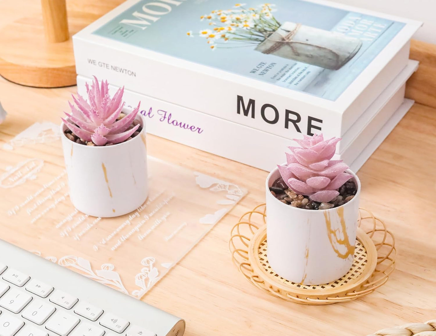 Set of 2 Succulents Plants Artificial Mini Fake Succulents Plants for Office Desk Accessories