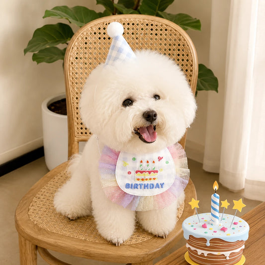 Pet Birthday Bib and Party Hat