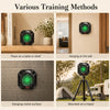 Electronic Laser Target System
