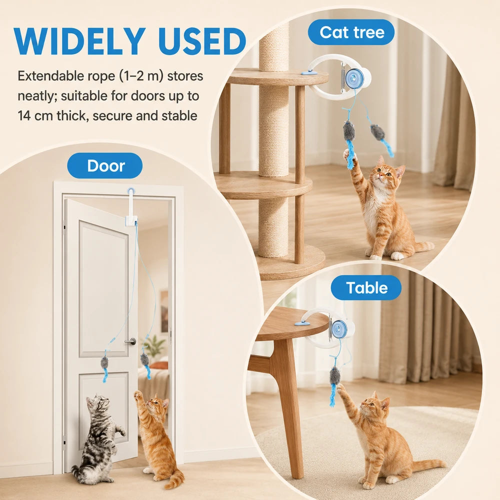 Interactive Hanging Cat Toy