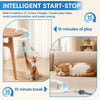 Interactive Hanging Cat Toy