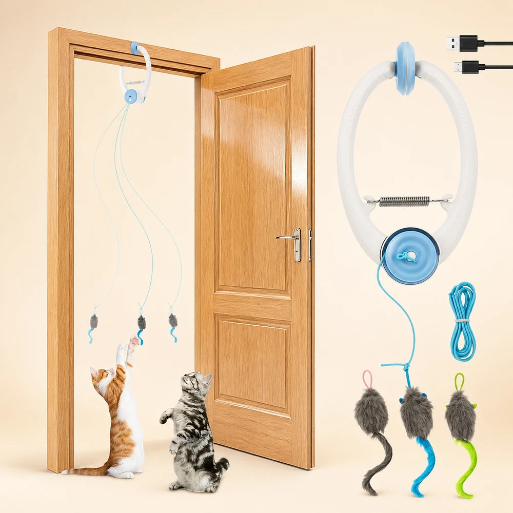 Interactive Hanging Cat Toy