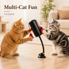 Multifunctional Cat Boxing Toy