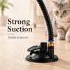 Multifunctional Cat Boxing Toy