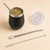 Stainless Steel Yerba Mate Gourd Set