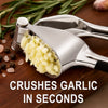 Zinc Alloy Garlic Press