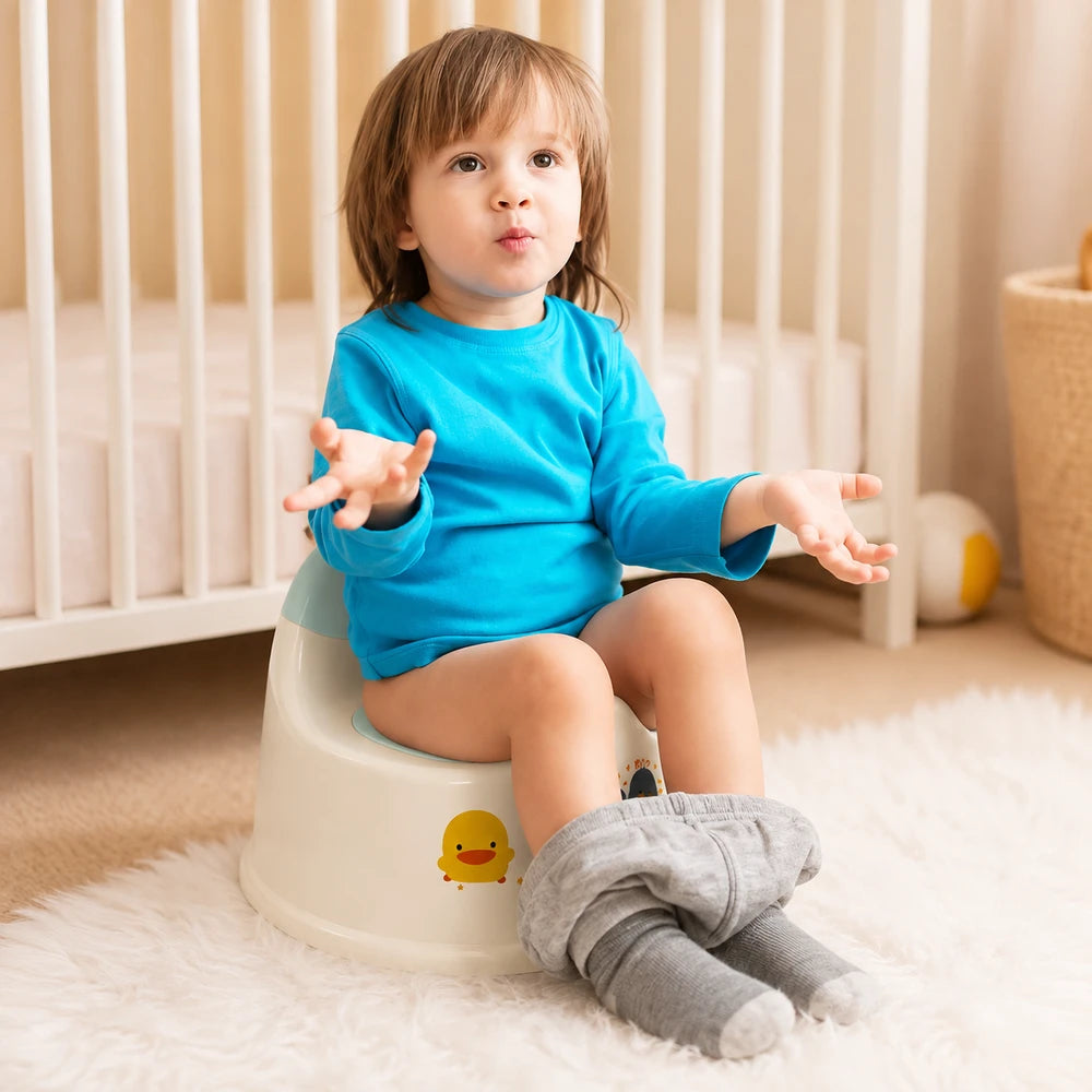 Toddler Potty Training Toilet Seat