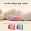 Ergonomic Memory Cotton Lumbar Pillow