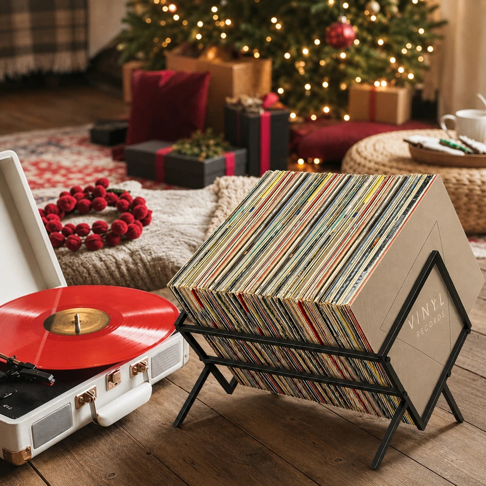 Metal Vinyl Record Rack
