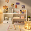 Double Layer Desktop Organizer