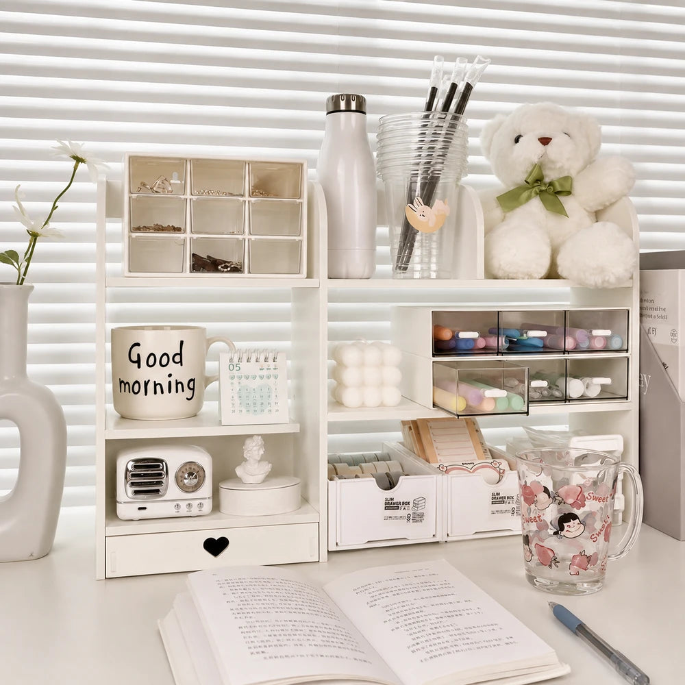 Double Layer Desktop Organizer