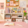 Double Layer Desktop Organizer