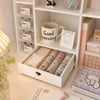 Double Layer Desktop Organizer
