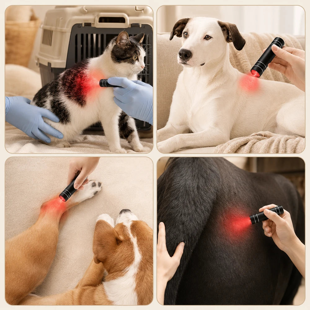 Red Light Therapy Torch