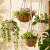 Automatic Plant Watering Bulb
