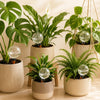Automatic Plant Watering Bulb