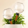 Automatic Plant Watering Bulb