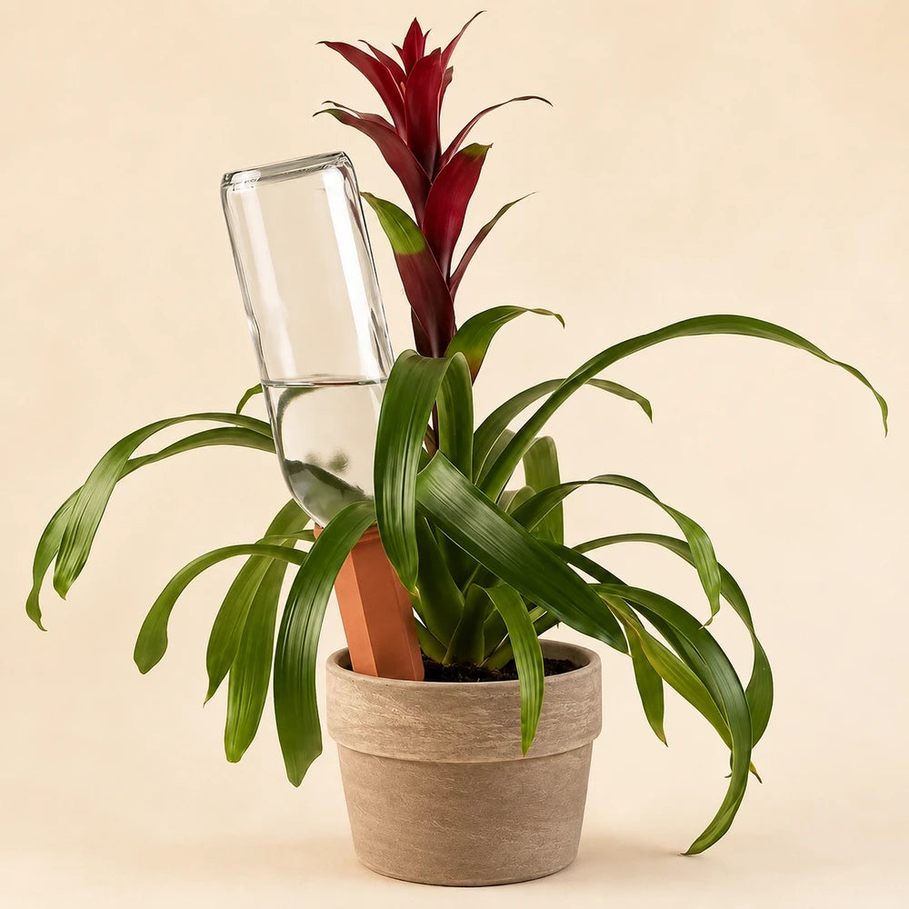 Self-Watering Terracotta Plant Stakes