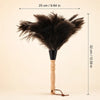 Natural Ostrich Feather Duster