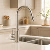 Matte Black Pull Out Kitchen Faucet