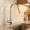 Matte Black Pull Out Kitchen Faucet