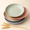 Lightweight Wheat Straw Dinner Plates
