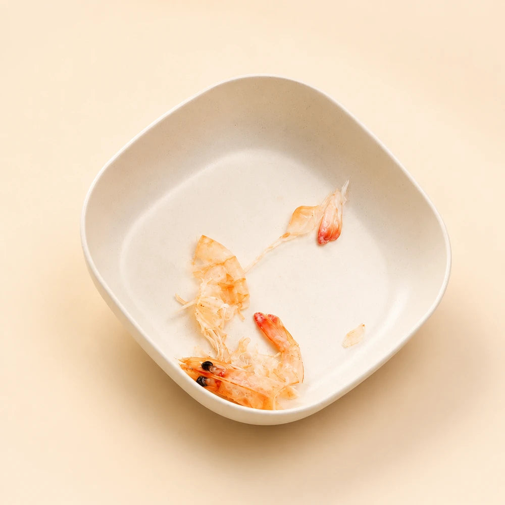Square Plastic Bone Plates Set