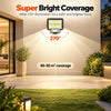 Solar Split Wall Lamp