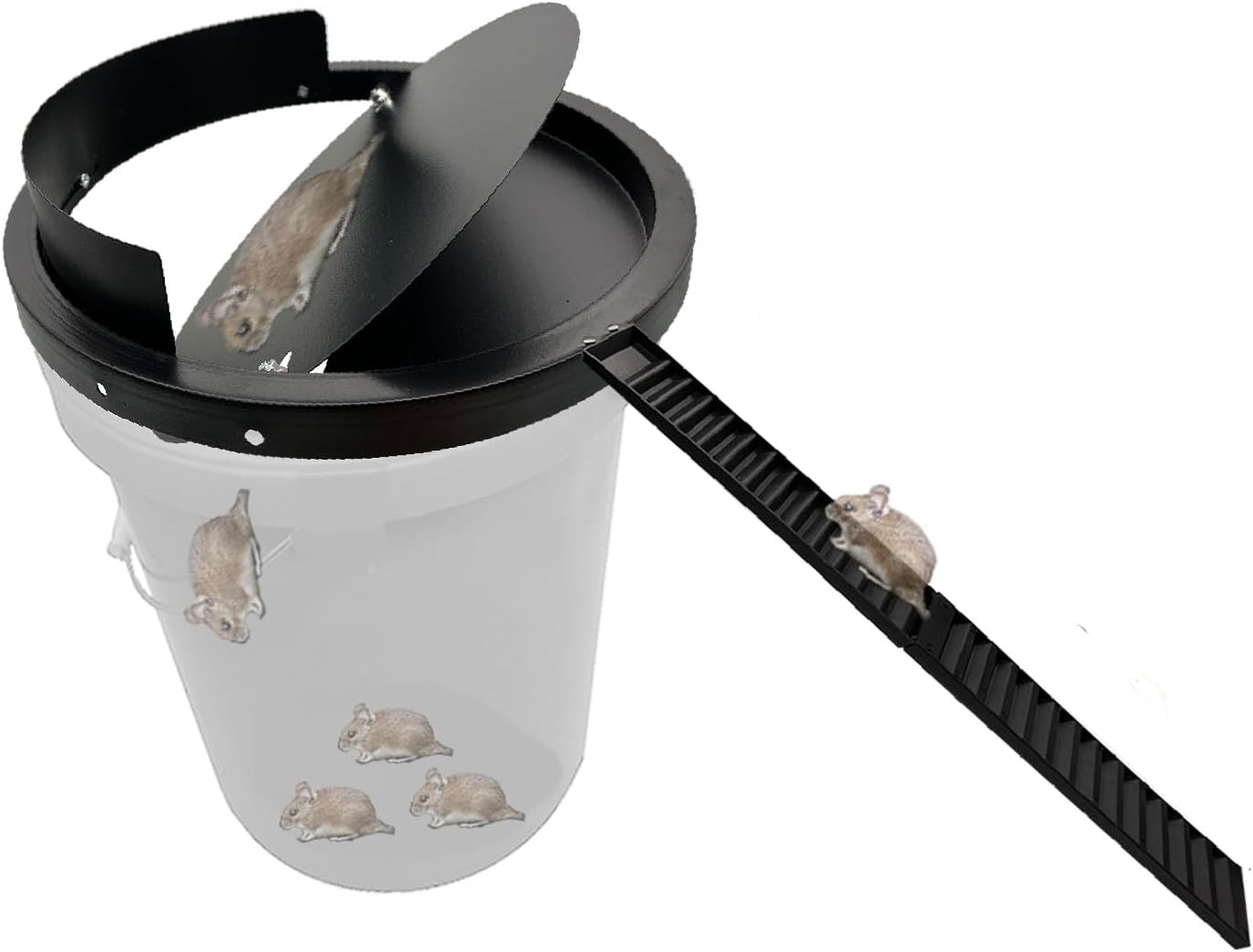 Lid Mouse Trap Metal 5 Gallon Bucket lid Strong Metal Material That Cannot be Bitten auto Reset Repeat Catch