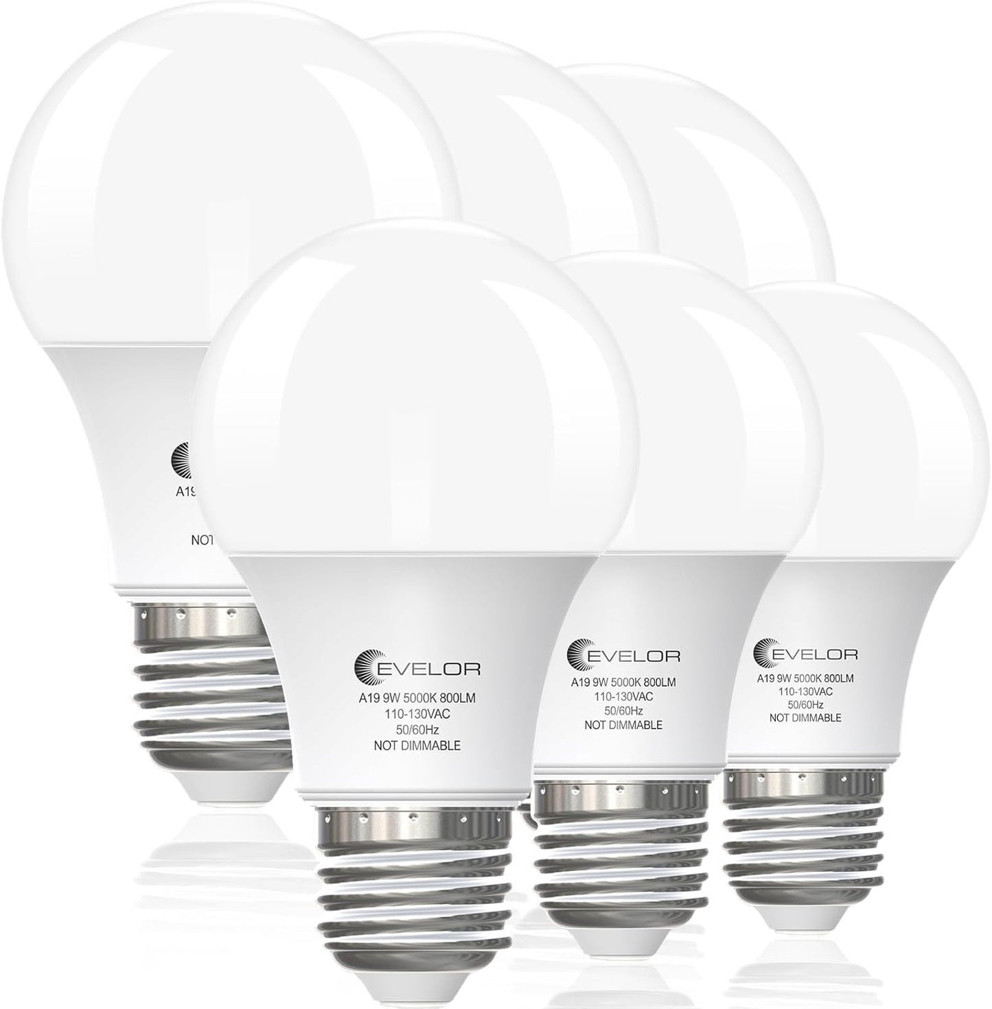 6 Pack A19 LED Light Bulbs 60 Watt Equivalent Daylight 5000K with E26 Base Efficient 9W,800 Lumens Non-Dimmable