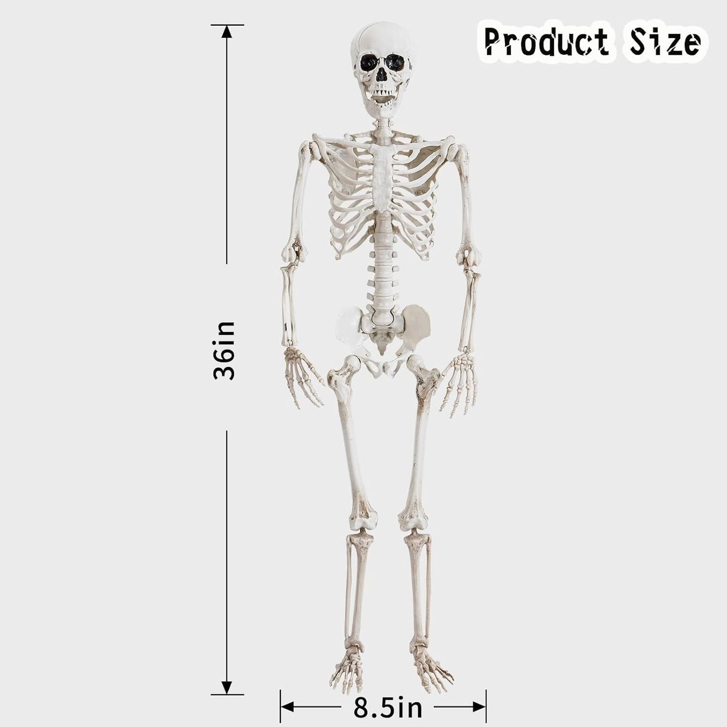 36 Skeleton Human Bones for Halloween Party with Movable Joints for Haunted Houses