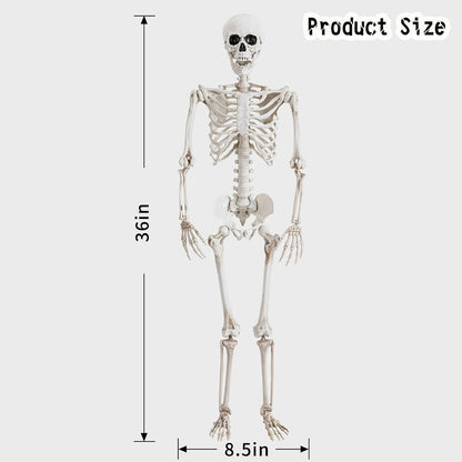 36 Skeleton Human Bones for Halloween Party with Movable Joints for Haunted Houses