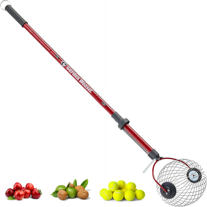 Large Nut Gatherer Roller Nut Collector Tool for Walnuts Tennis Balls and More  Yard Picker