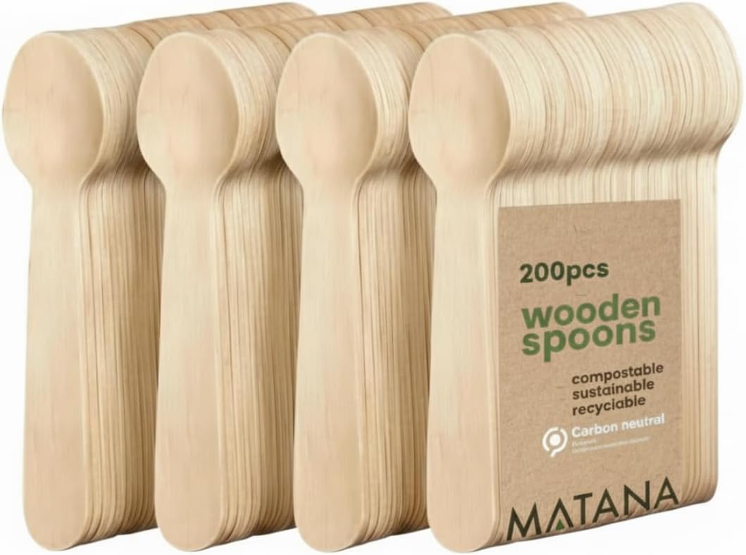 Disposable Bamboo Wooden Spoons 6.3" Inch 200 Pack Compostable Cutlery Biodegradable Utensils for Garden Parties