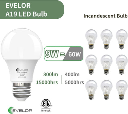 6 Pack A19 LED Light Bulbs 60 Watt Equivalent Daylight 5000K with E26 Base Efficient 9W,800 Lumens Non-Dimmable