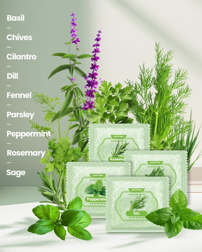 Culinary Heirloom Seed Kits for Indoor/Outdoor Planting  Unique Gardening Gifts for Mom Women New Home & Kitchen