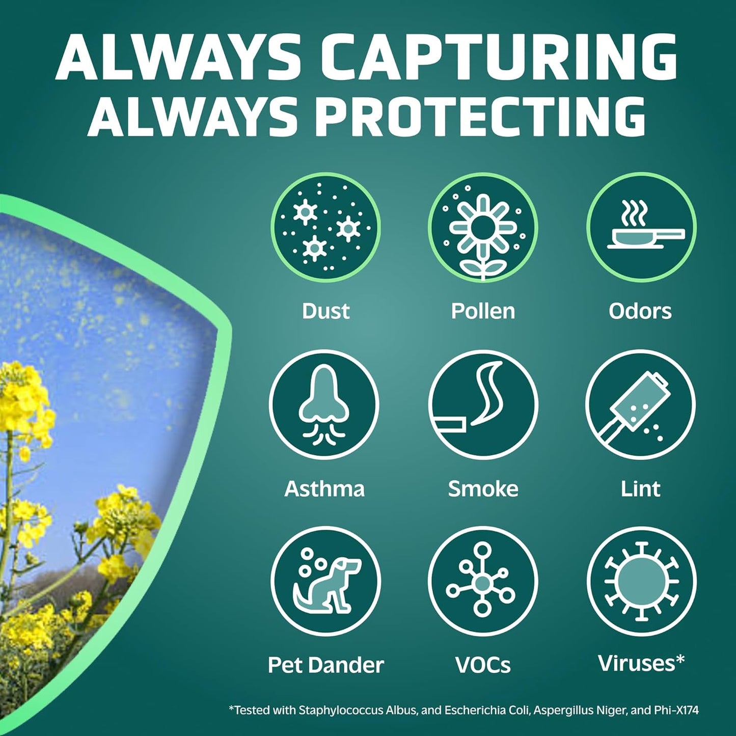 Filter B HEPA Pure Genuine Air Purifier Filter Removes 99.97% of Pollutants Wildfire Smoke, Odors