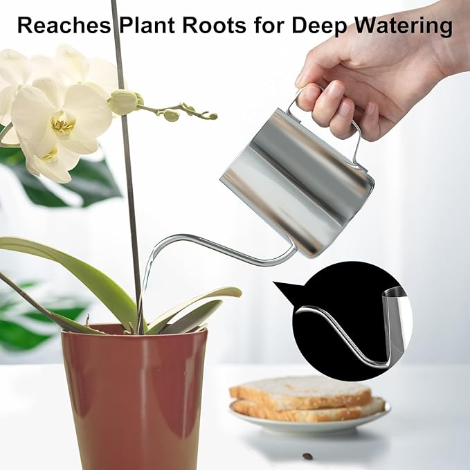 Small Watering Can for Indoor Plants Mini Indoor Watering Can with Long Spout and Handle 12 Oz / 350 ml Rust-Proof