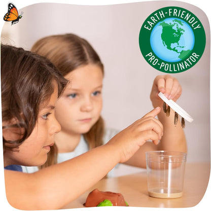 Insect Lore Raise and Release Butterfly Garden Kit Caterpillar Habitat with redeemable Voucher
