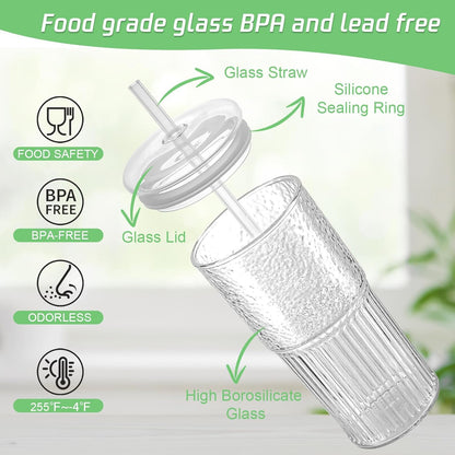 Glass Cups with Lids and Glass Straws High Borosilicate 20OZ Tumblers (2Pcs) for Coffee, Tea, Juice