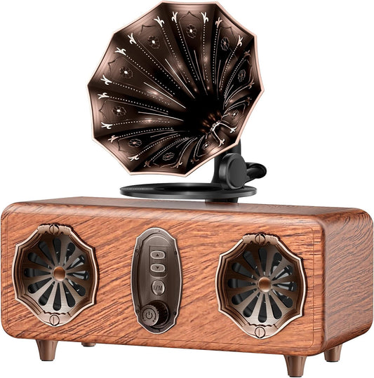 Retro Bluetooth Speaker Retro Radio with 5.4 Bluetooth Version FM Radio Bass Vintage Wireless Speaker