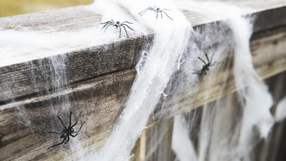 Spider Web Decoration 200 Sqare Feet & Plastic Spiders Halloween Party Supplies Spider Webs Small 200 Sq Feet