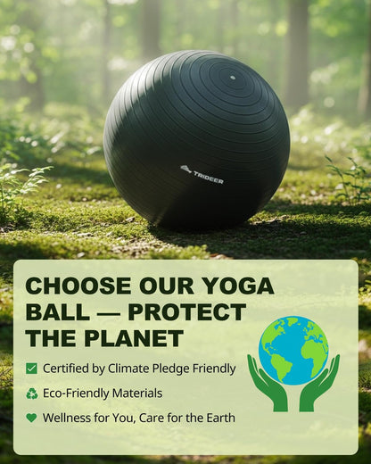 Exercise Ball for Yoga Pilates & Fitness  Stability Ball Equipment for Home Gym & Office Chair Core