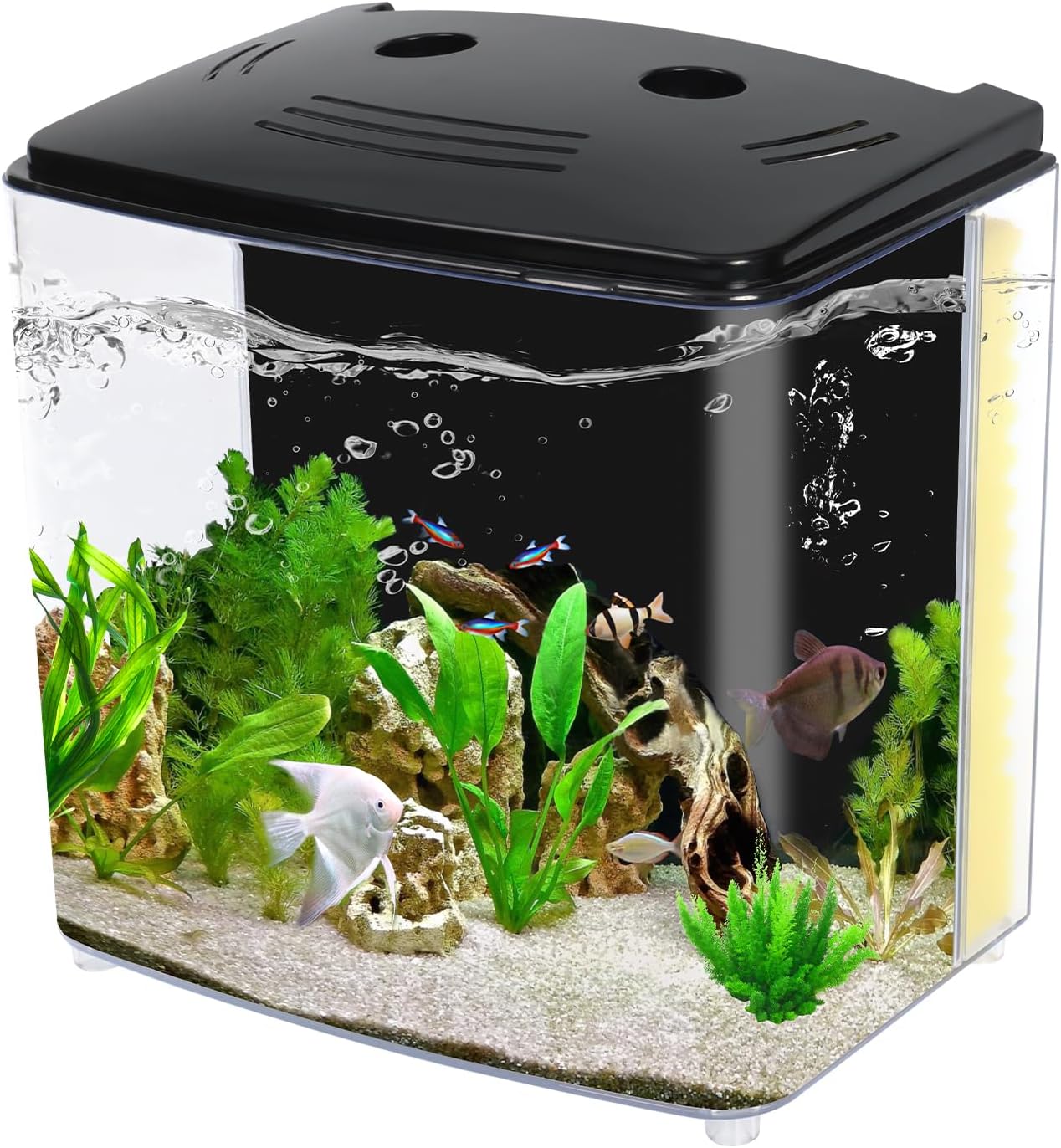 Fish Tank  1.2 Gallon Aquarium, Small Betta Fish Tank Starter Kit with LED Light