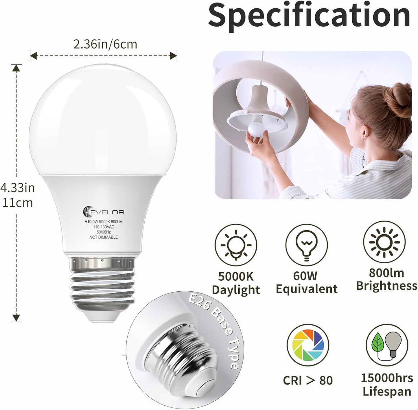 6 Pack A19 LED Light Bulbs 60 Watt Equivalent Daylight 5000K with E26 Base Efficient 9W,800 Lumens Non-Dimmable