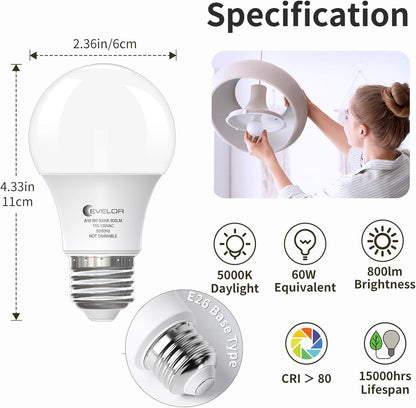 6 Pack A19 LED Light Bulbs 60 Watt Equivalent Daylight 5000K with E26 Base Efficient 9W,800 Lumens Non-Dimmable