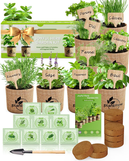 Culinary Heirloom Seed Kits for Indoor/Outdoor Planting  Unique Gardening Gifts for Mom Women New Home & Kitchen
