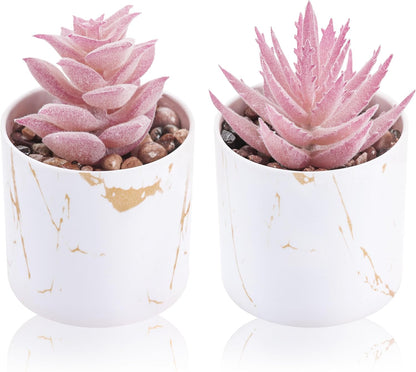 Set of 2 Succulents Plants Artificial Mini Fake Succulents Plants for Office Desk Accessories