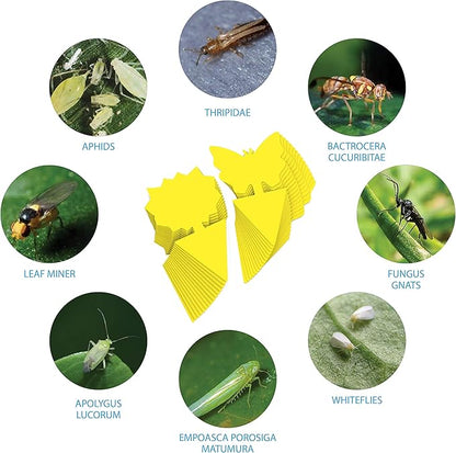 15 pcs Gnat Traps for House Indoor, Fungus Gnat Sticky Traps for Plants, Sticky Traps for Gnats Plant Sticky Traps
